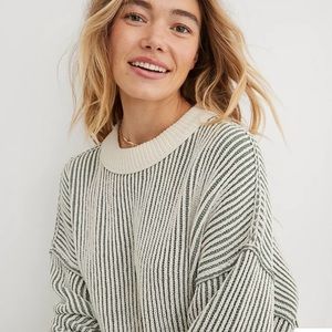 Aerie Beyond Chenille Sweater